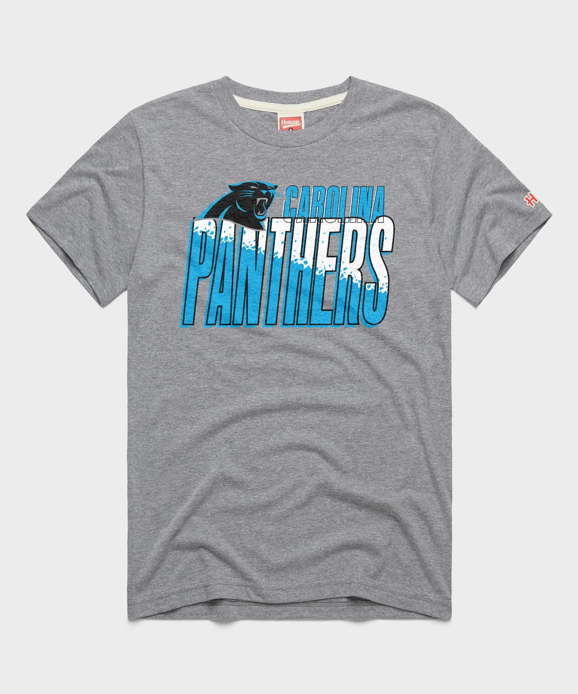 Carolina Panthers Color Splash
