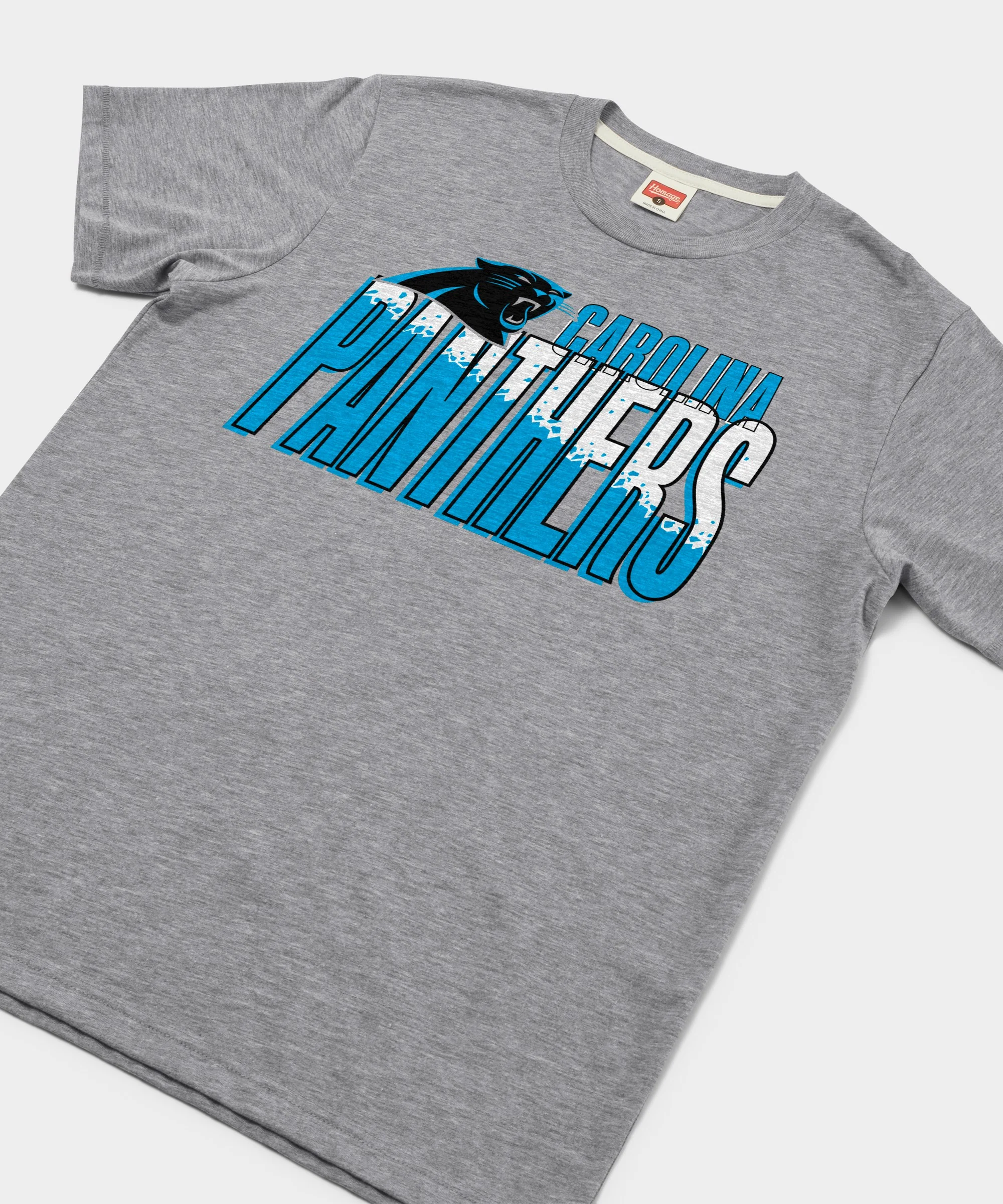 Carolina Panthers Color Splash - Image 2
