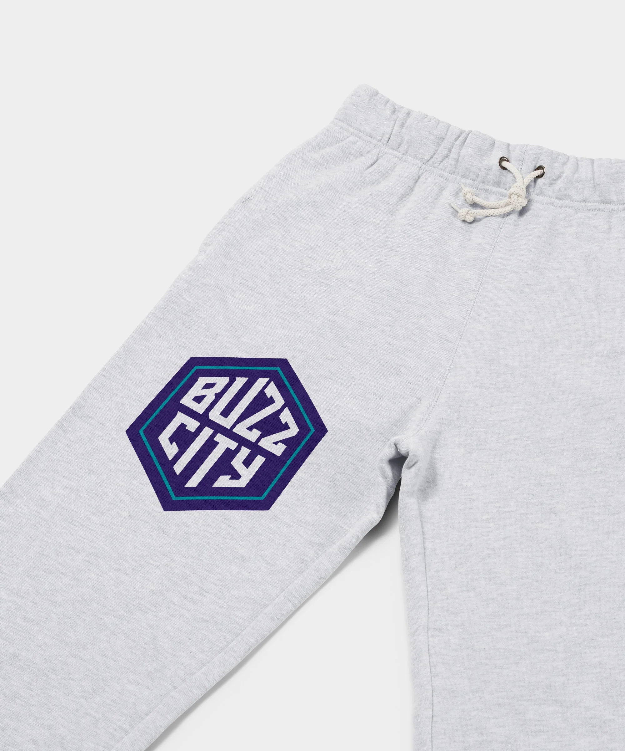 Charlotte Hornets Buzz City Sweatpants - Image 2