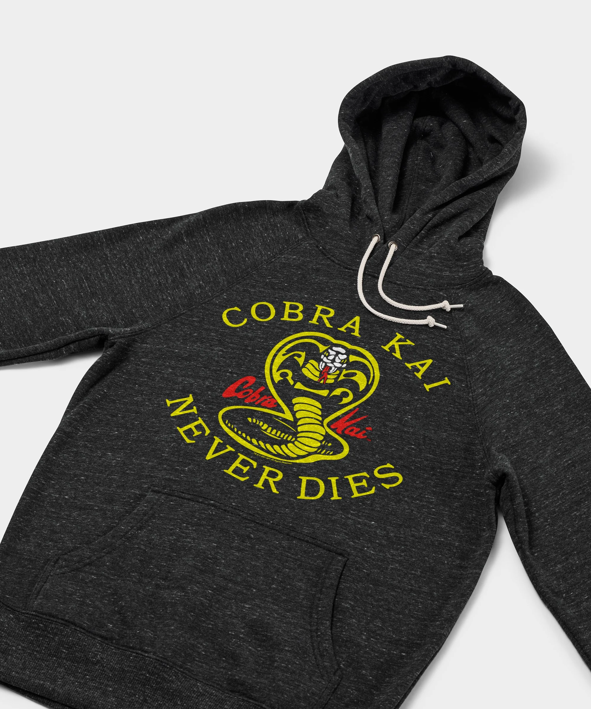 Cobra Kai Never Dies Hoodie - Image 2