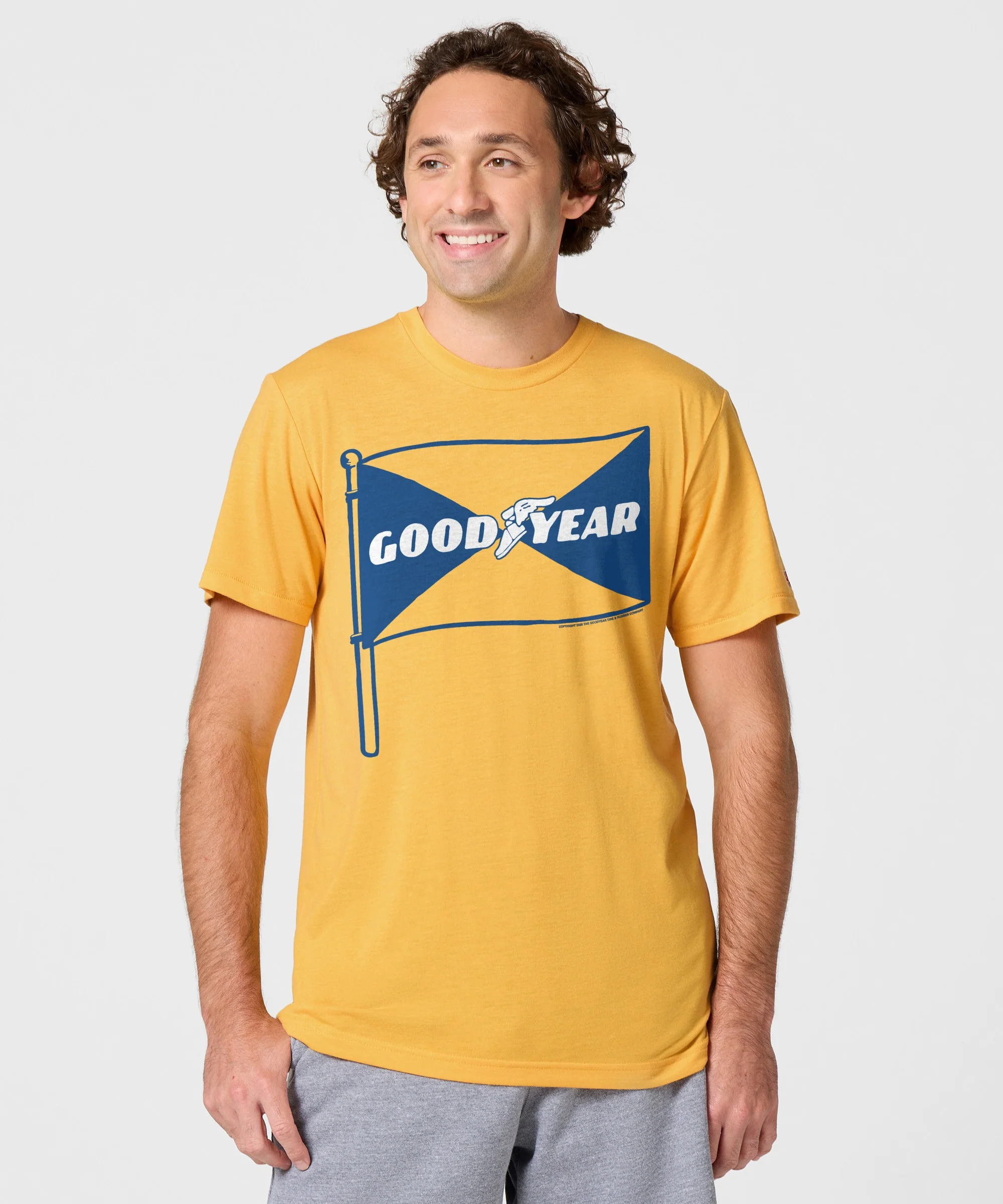 Goodyear Flag - Image 3