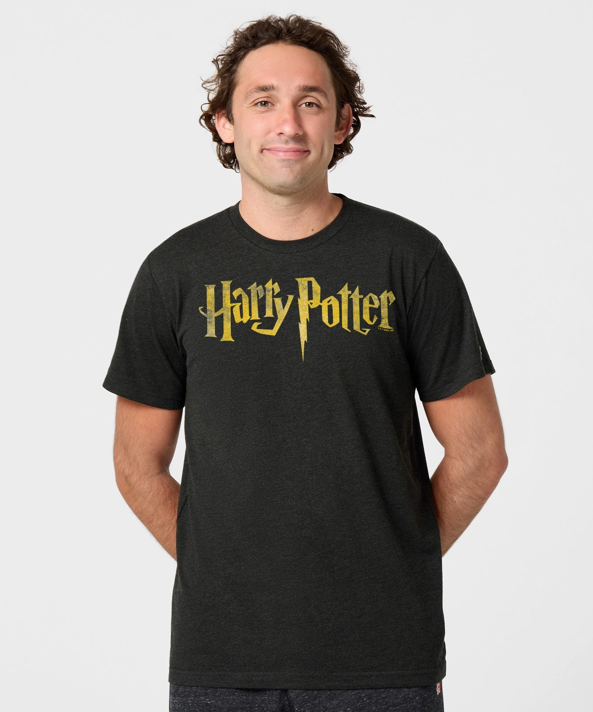 Harry Potter Logo - Image 3