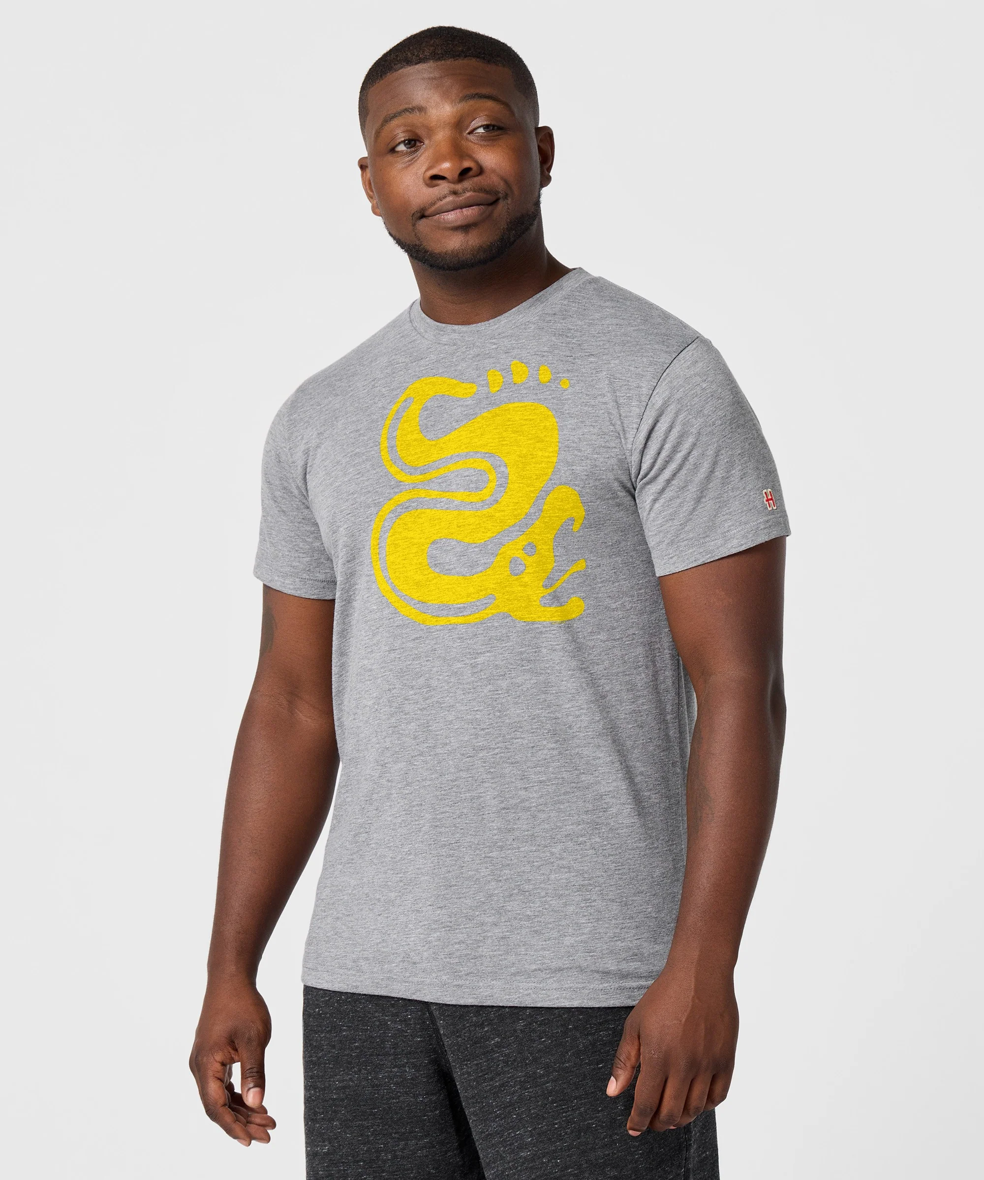Hidden Temple Silver Snakes - Image 3