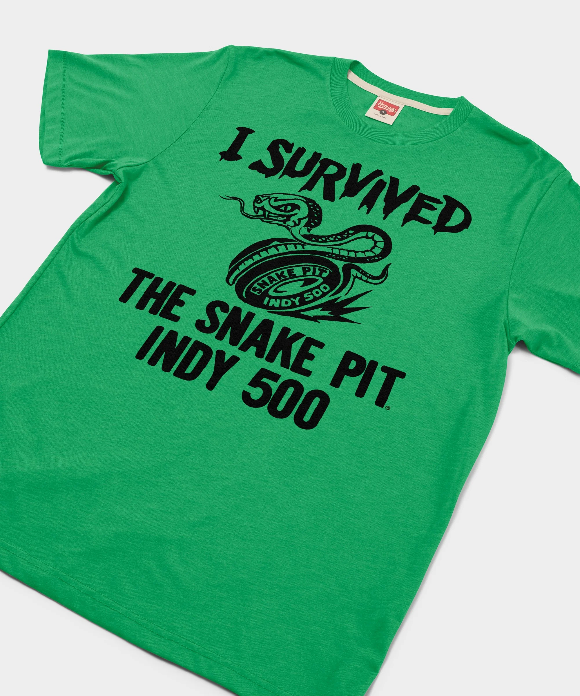 I Survived The Snake Pit Indy 500 - Image 2