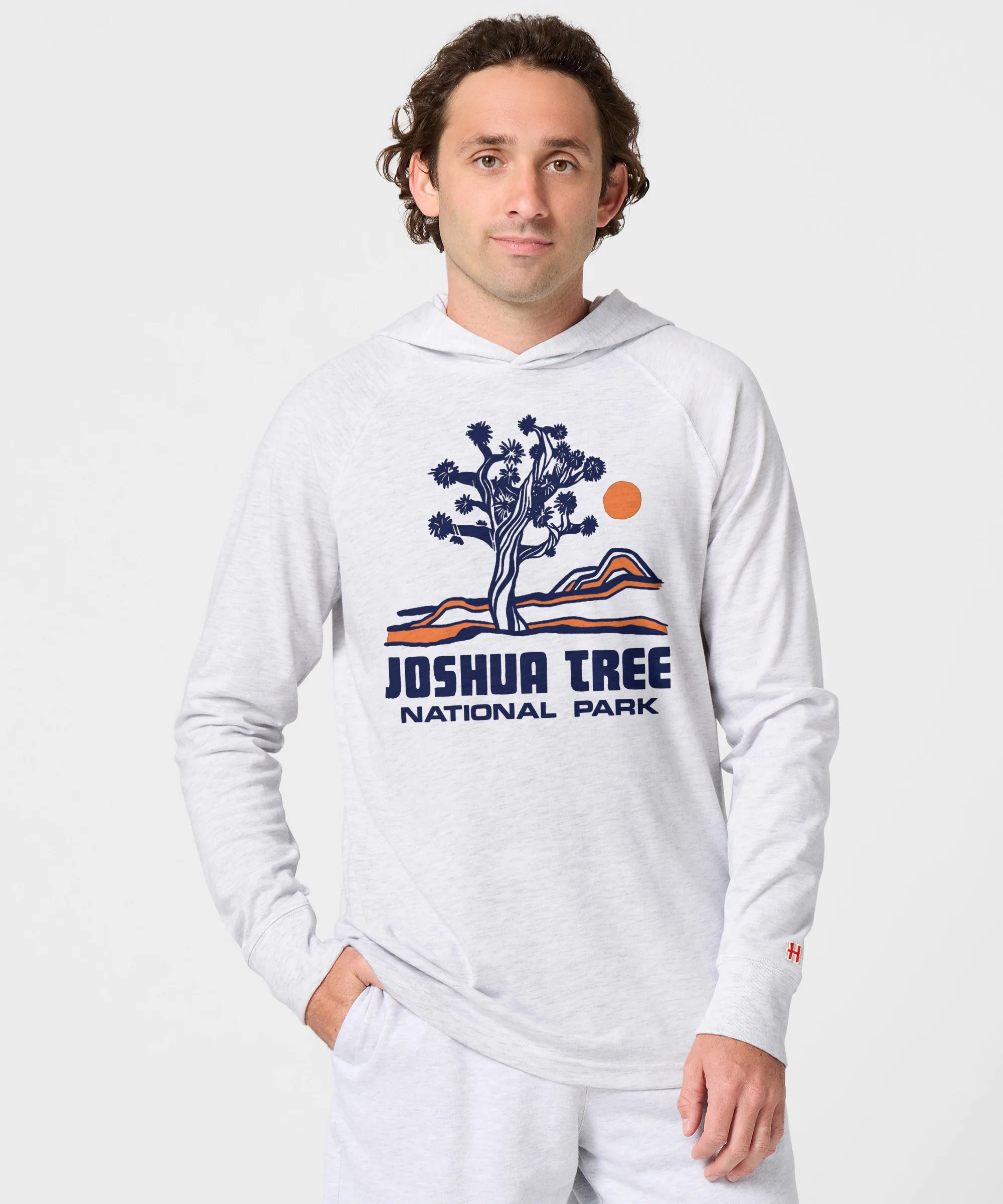 Joshua Tree National Park Lightweight Hoodie - Image 3