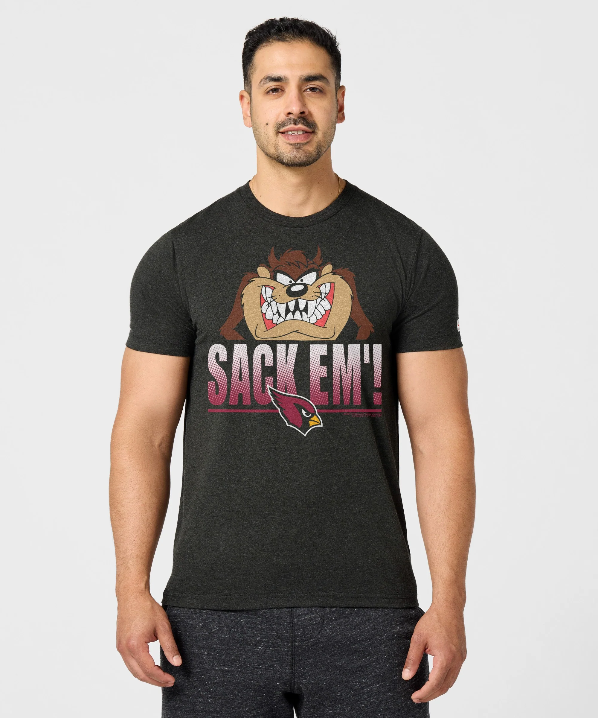 Looney Tunes Taz Sack Em' x Arizona Cardinals - Image 3