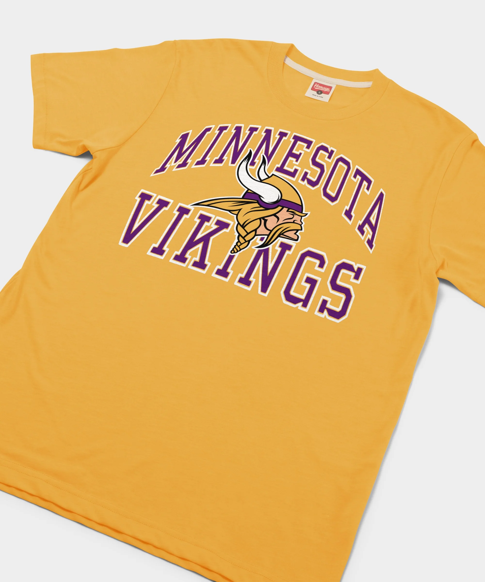 Minnesota Vikings Arch - Image 2
