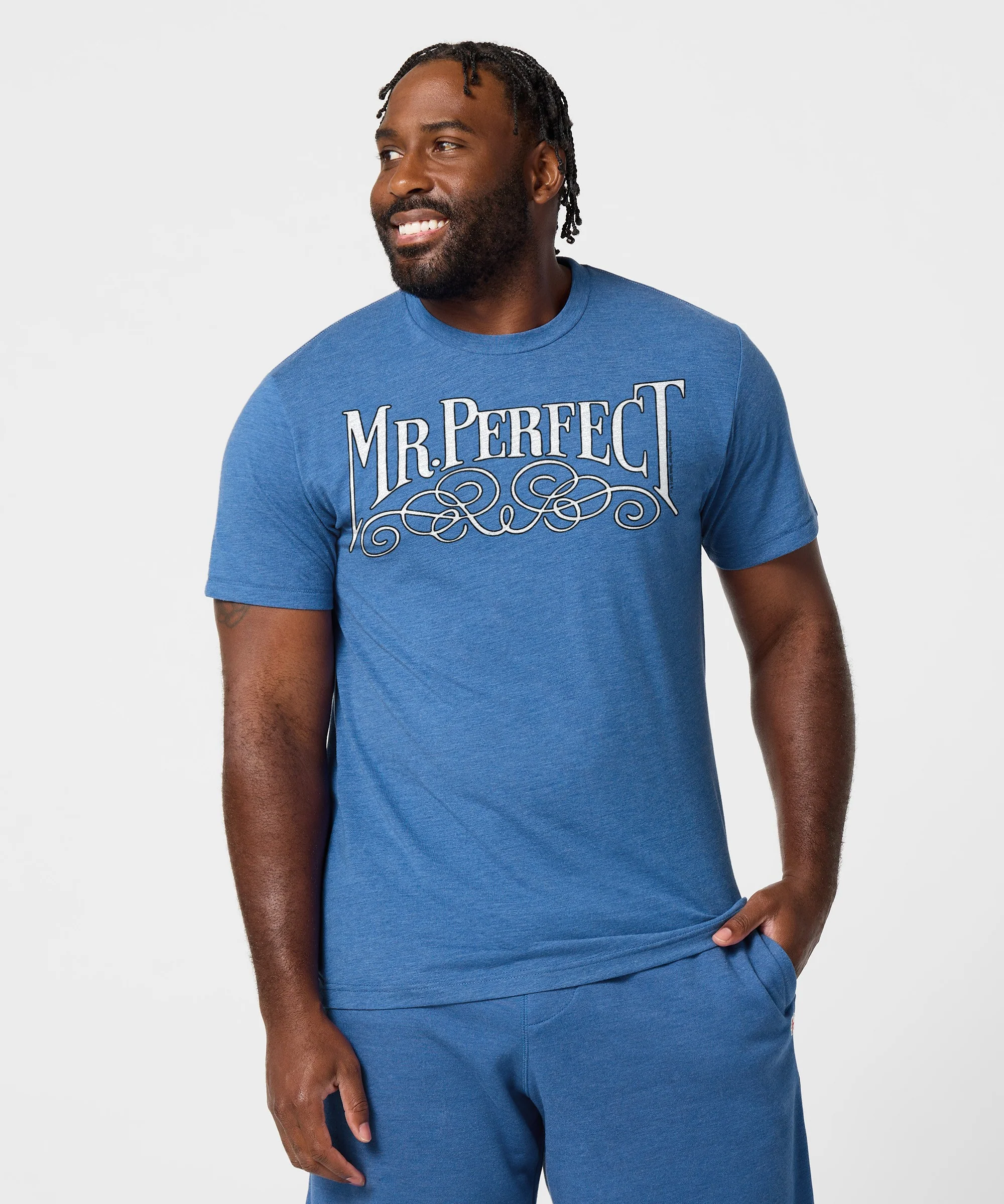 Mr. Perfect - Image 3