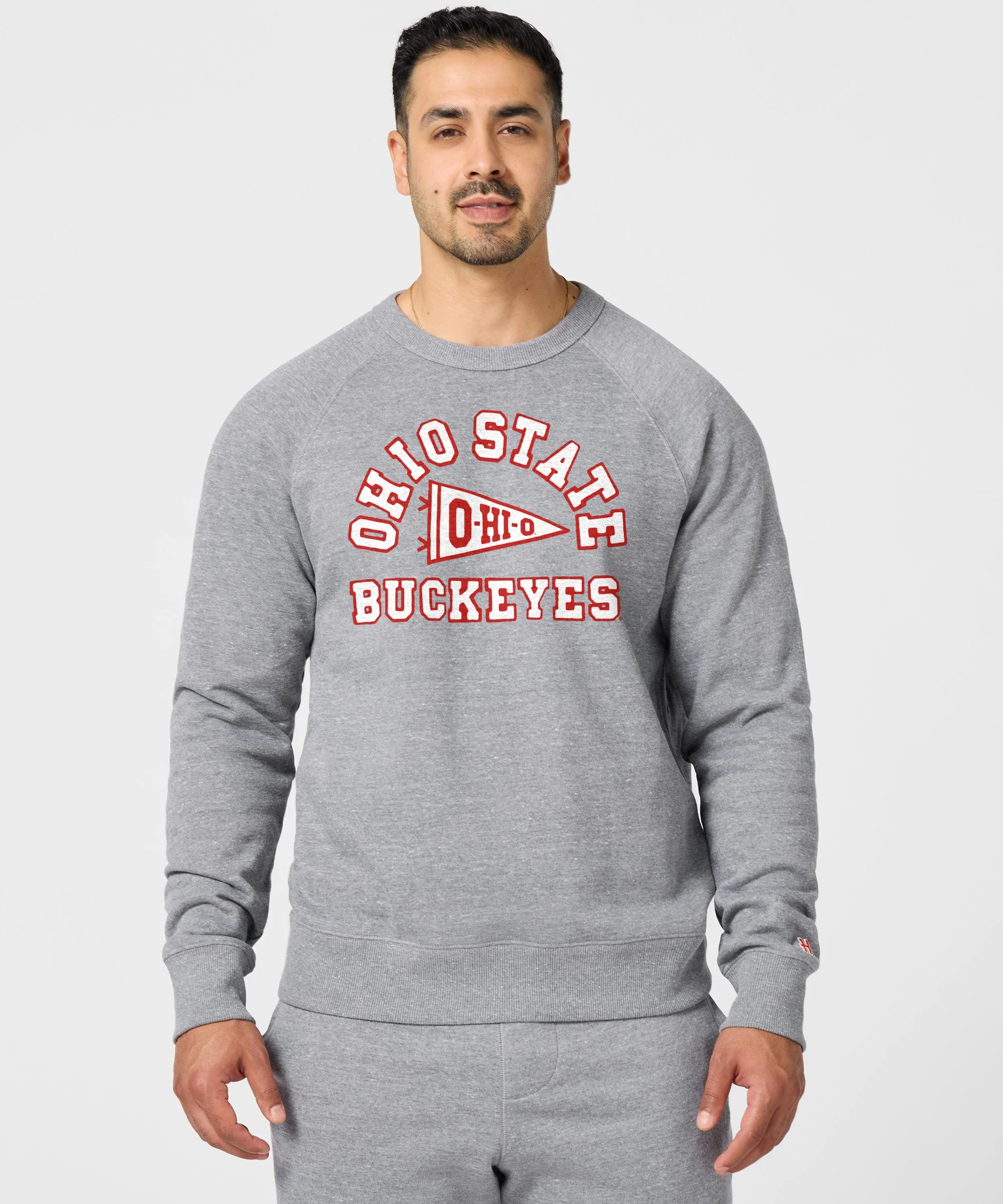 Ohio State Buckeyes Pennant Crewneck - Image 3