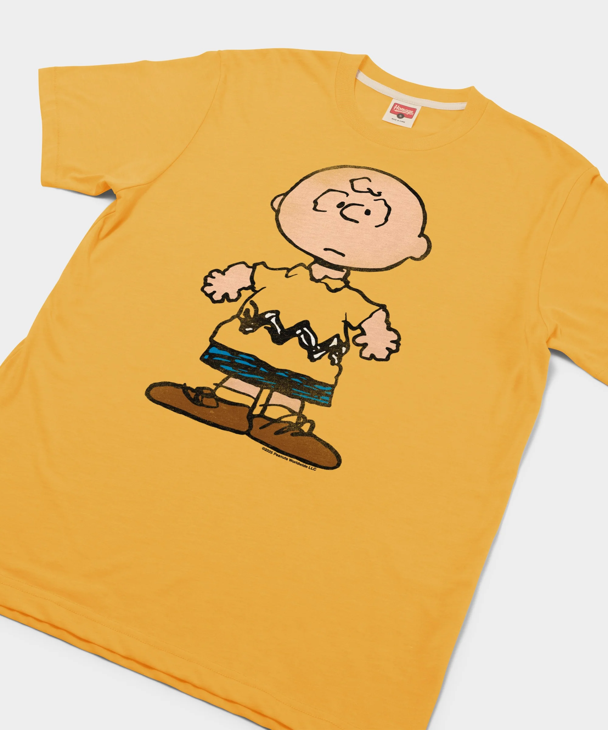 Peanuts Charlie Brown Character - Image 2
