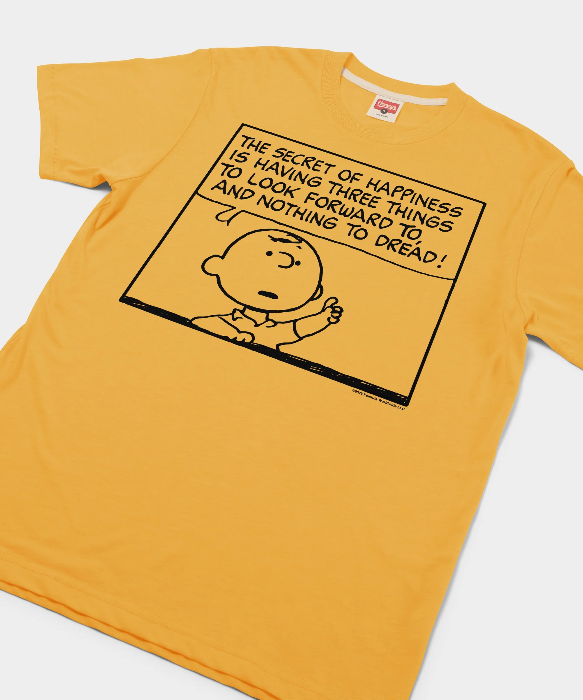 Peanuts Charlie Brown Secret Of Happiness - Image 2