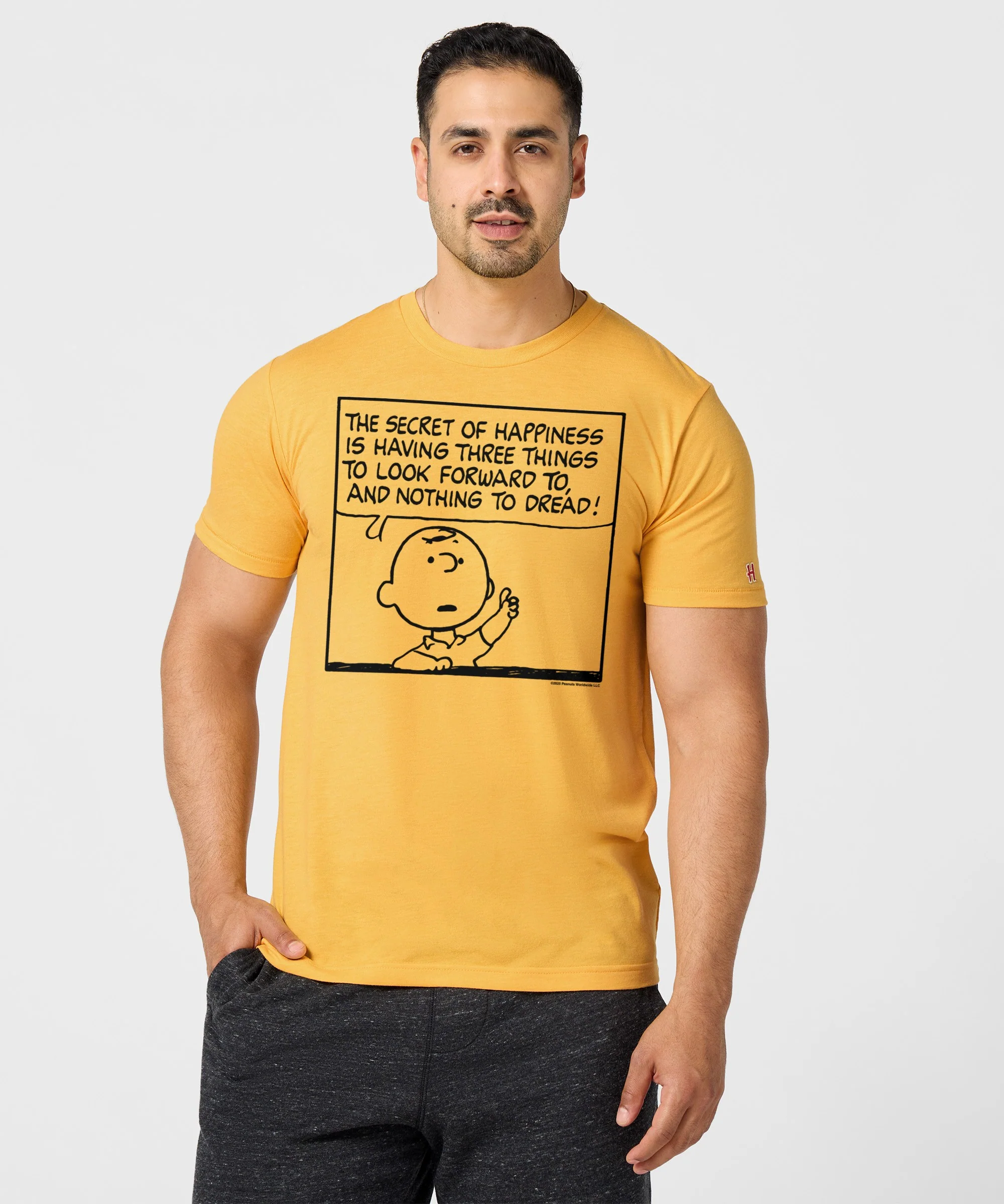Peanuts Charlie Brown Secret Of Happiness - Image 3