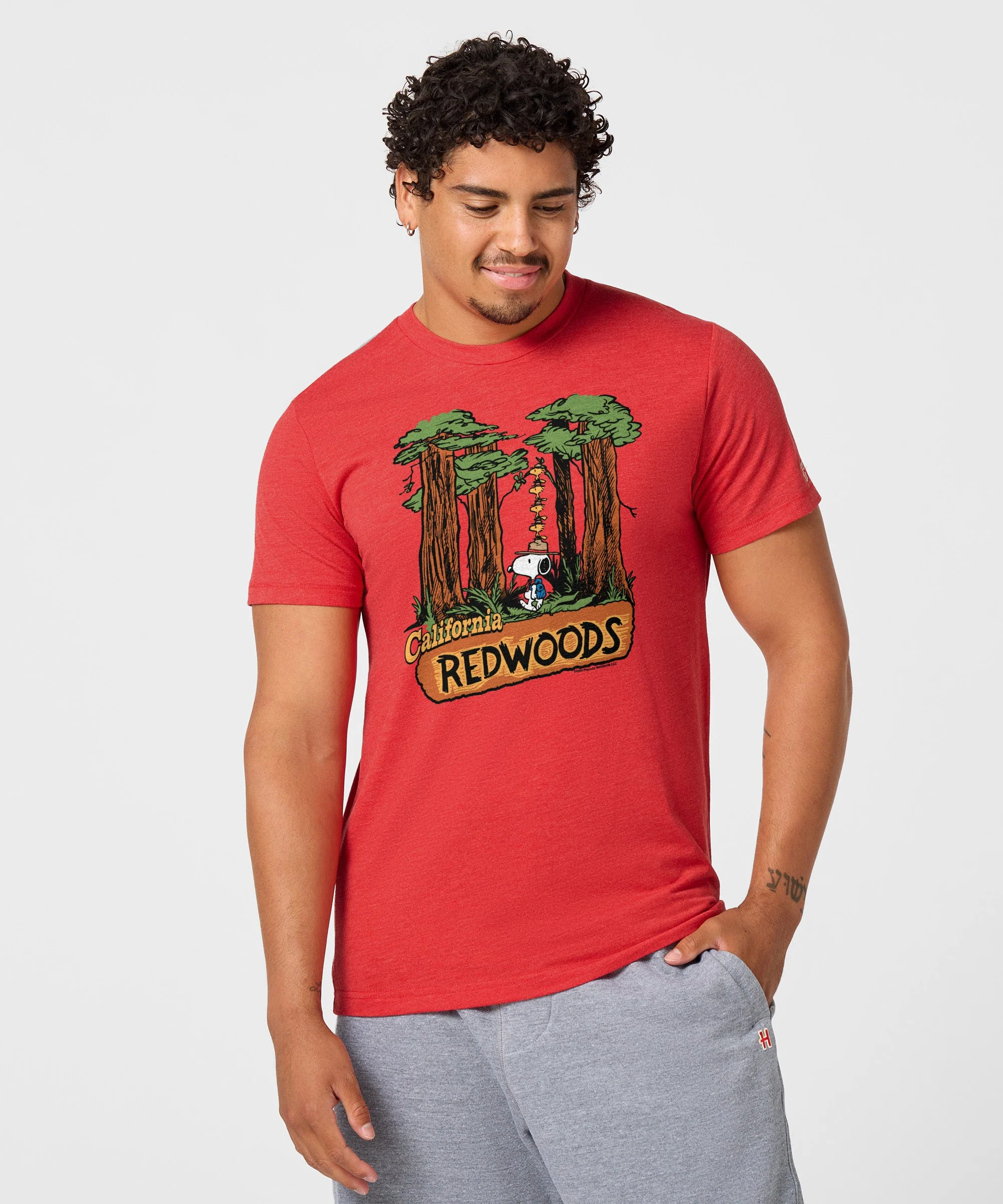Peanuts Snoopy x California Redwoods - Image 3