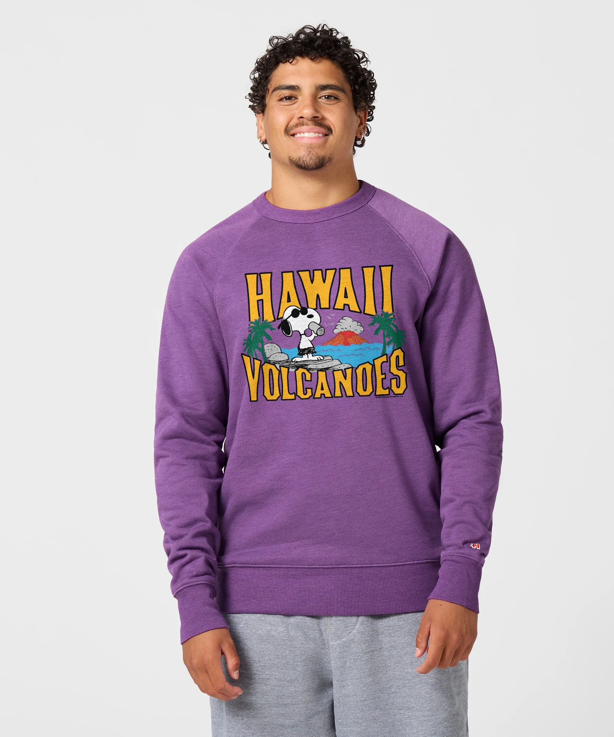 Peanuts Snoopy x Hawaii Volcanoes National Park Crewneck - Image 3