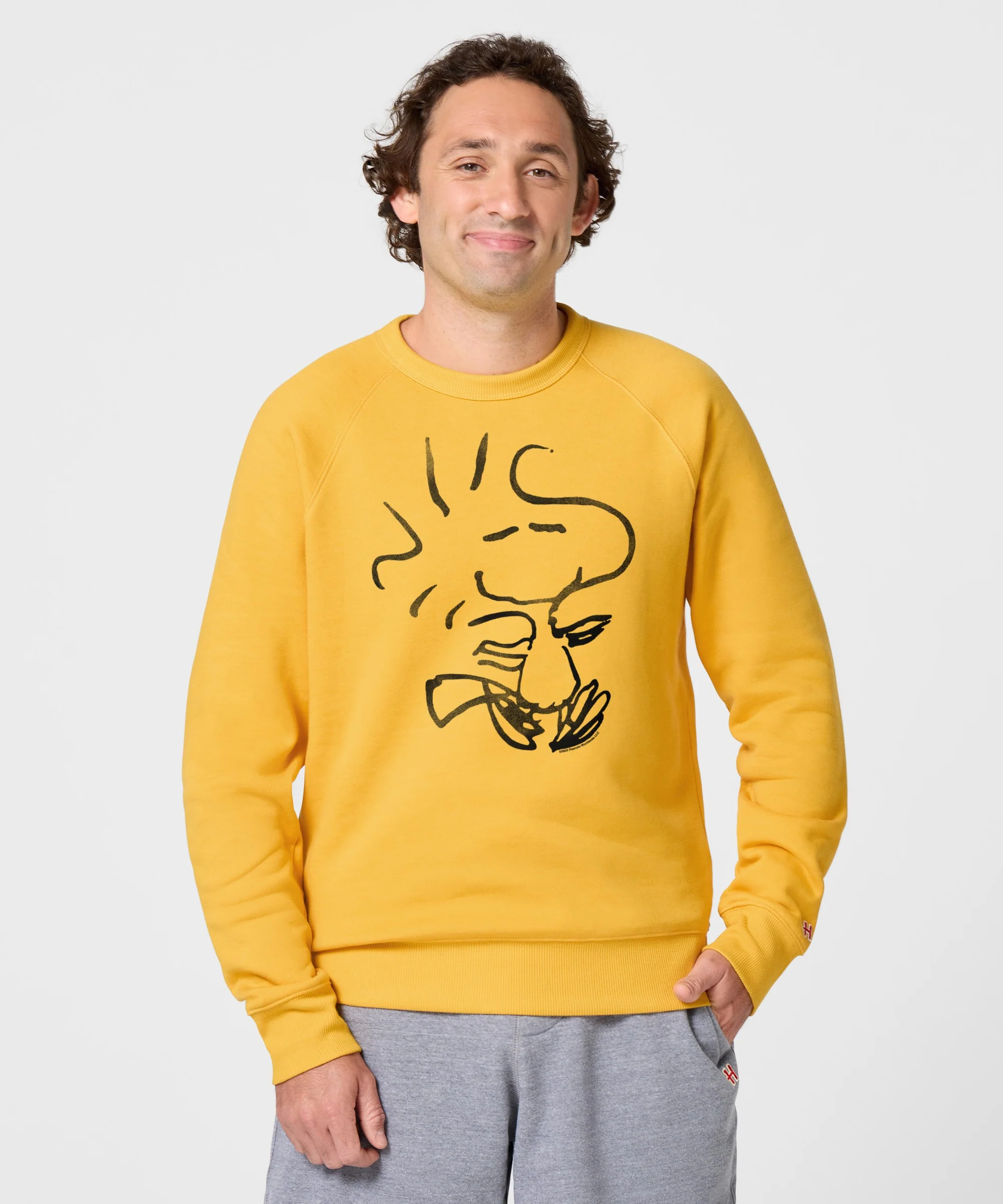 Peanuts Woodstock Character Crewneck - Image 3