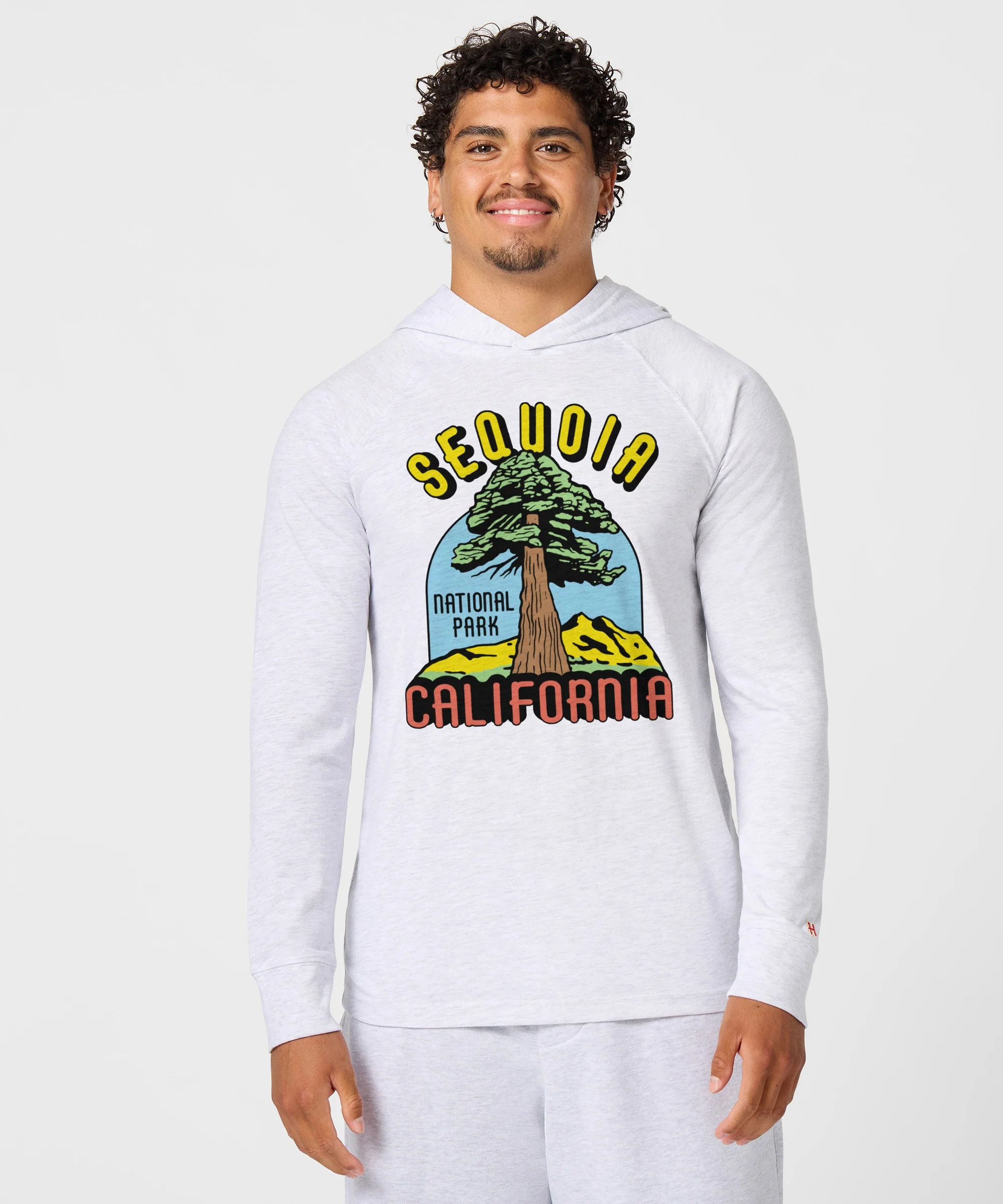 Sequoia National Park Lightweight Hoodie - Image 3
