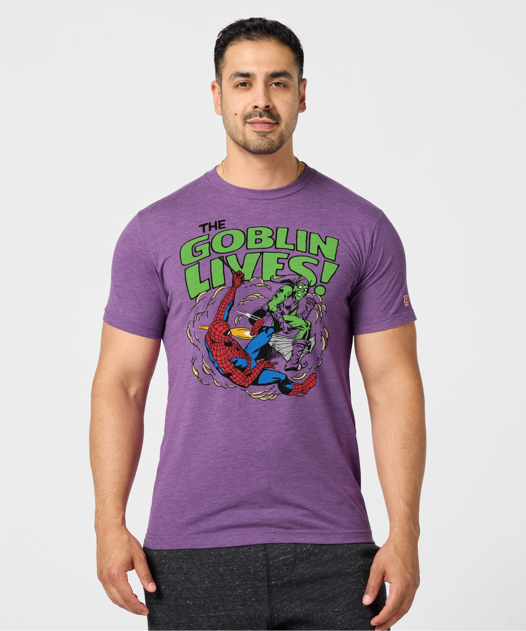 Spider-Man The Goblin Lives - Image 3