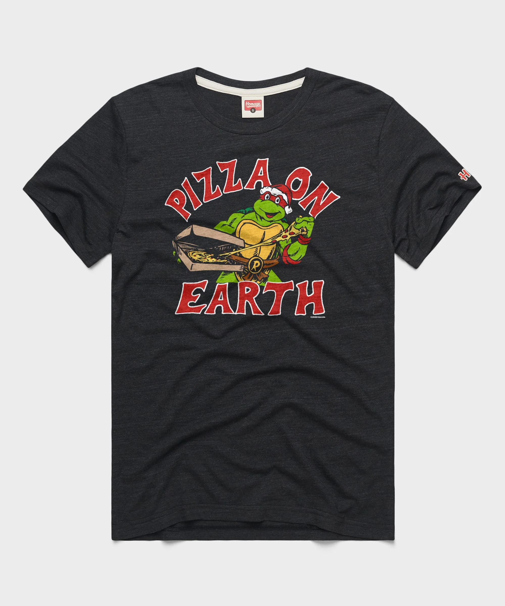 TMNT Pizza On Earth