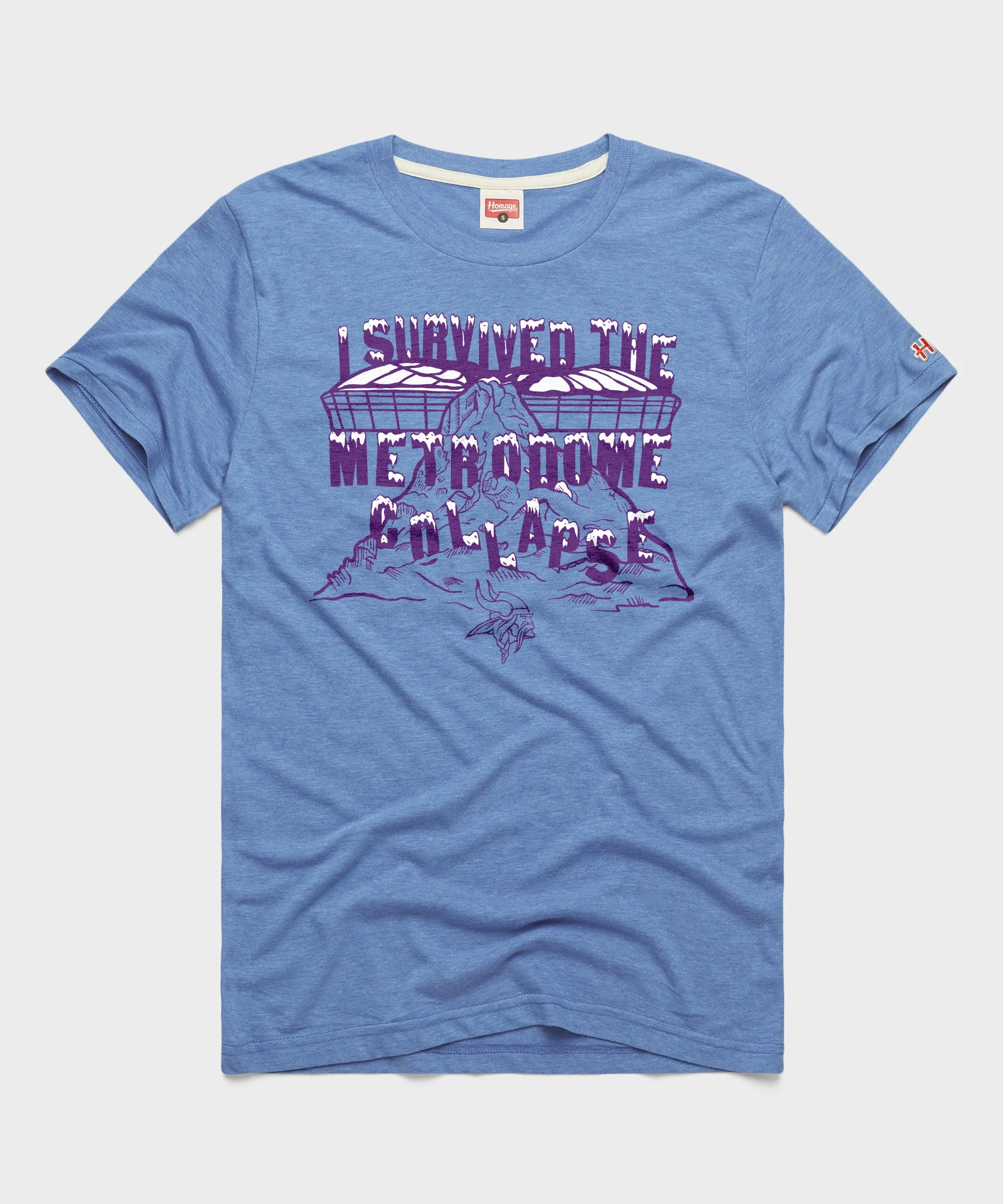 Vikings I Survived The Metrodome