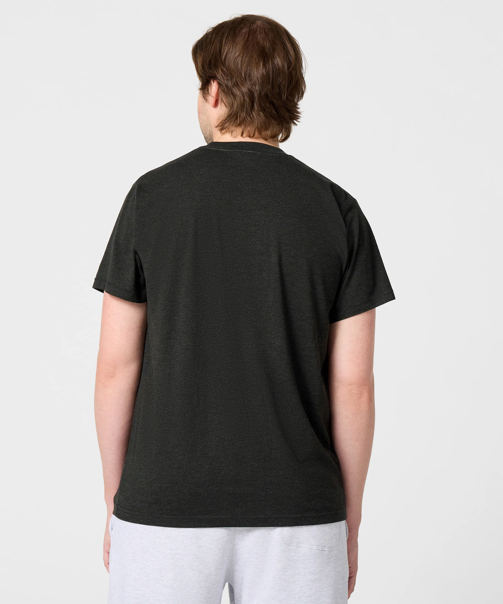 Washington Bears - Image 4