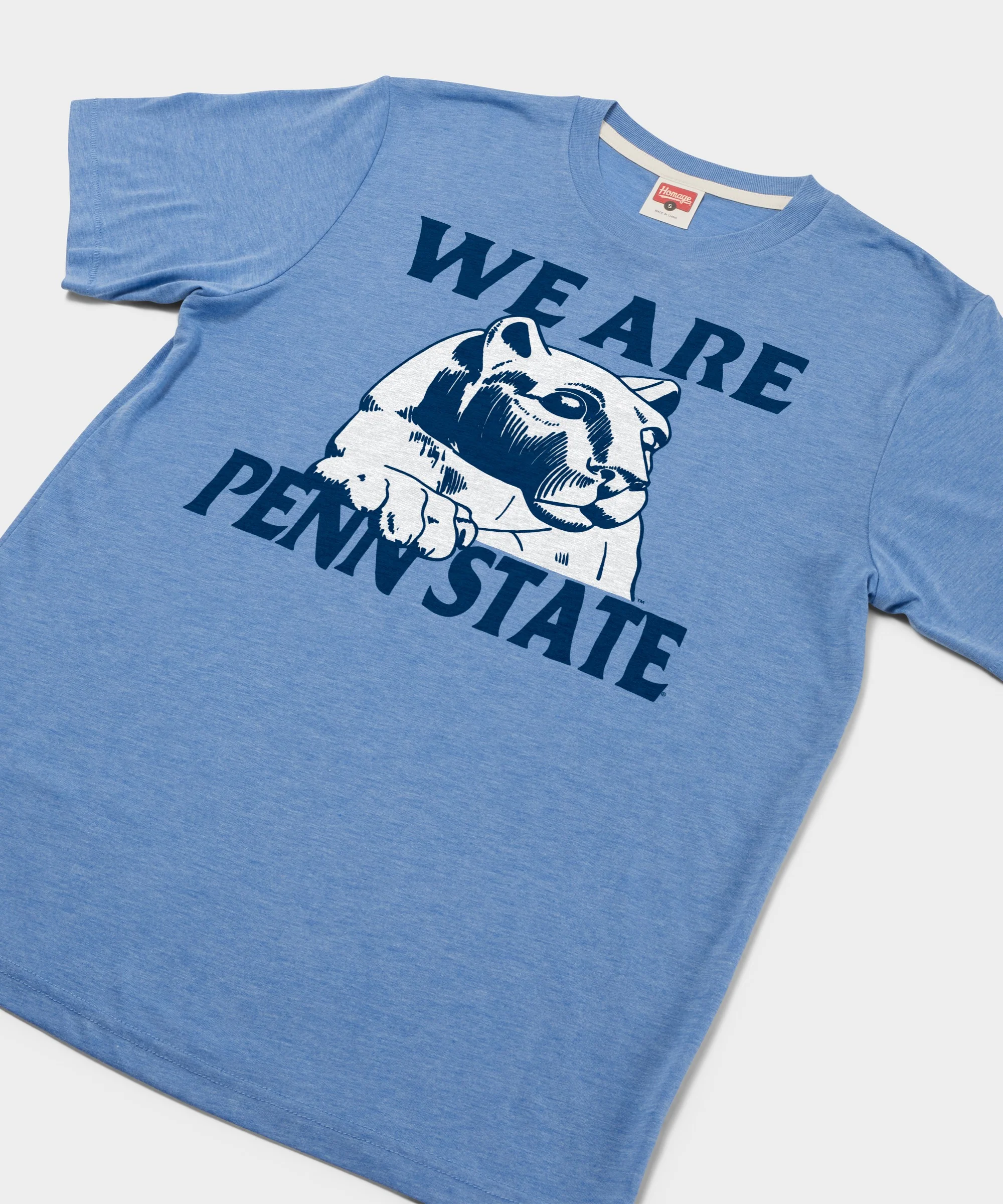 We Are Penn State Lions - Image 2