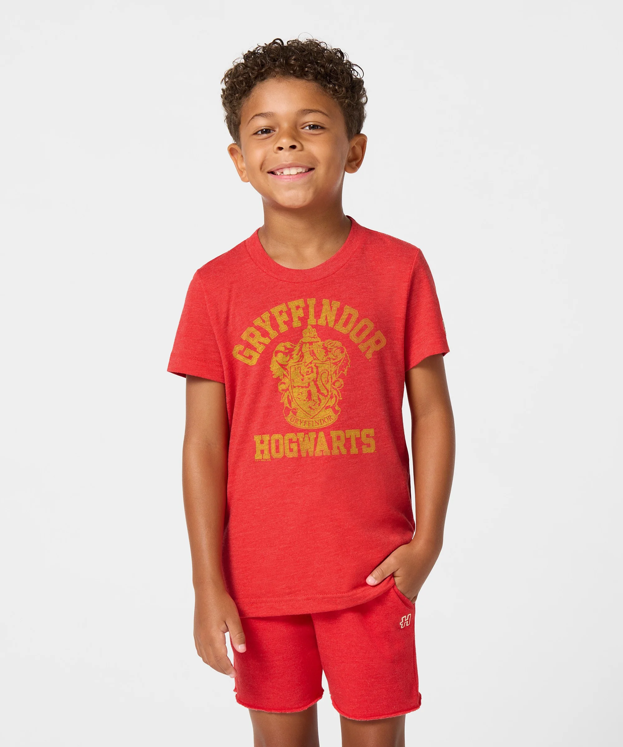 Youth Gryffindor Crest - Image 3