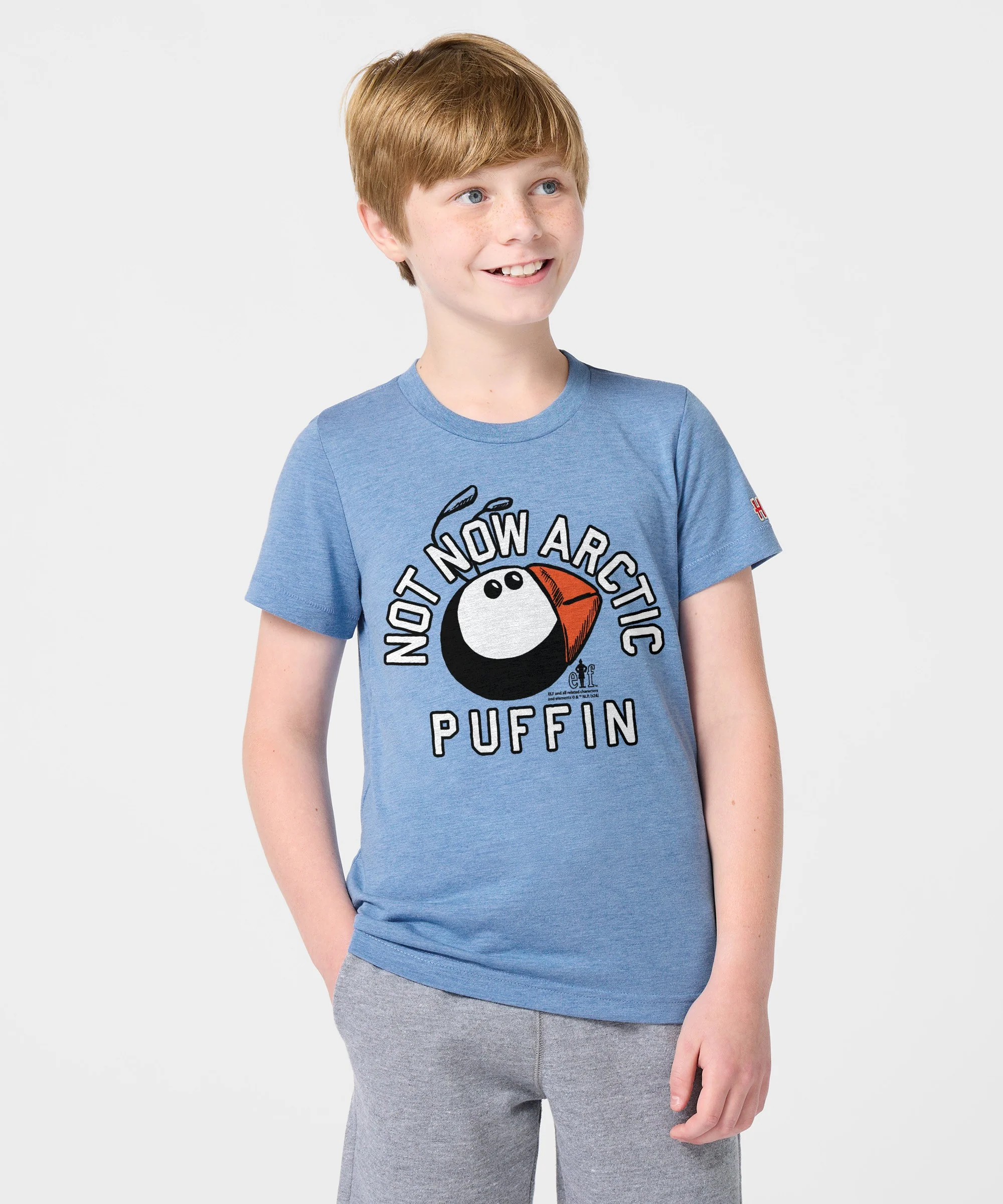 Youth Not Now Arctic Puffin - Image 3